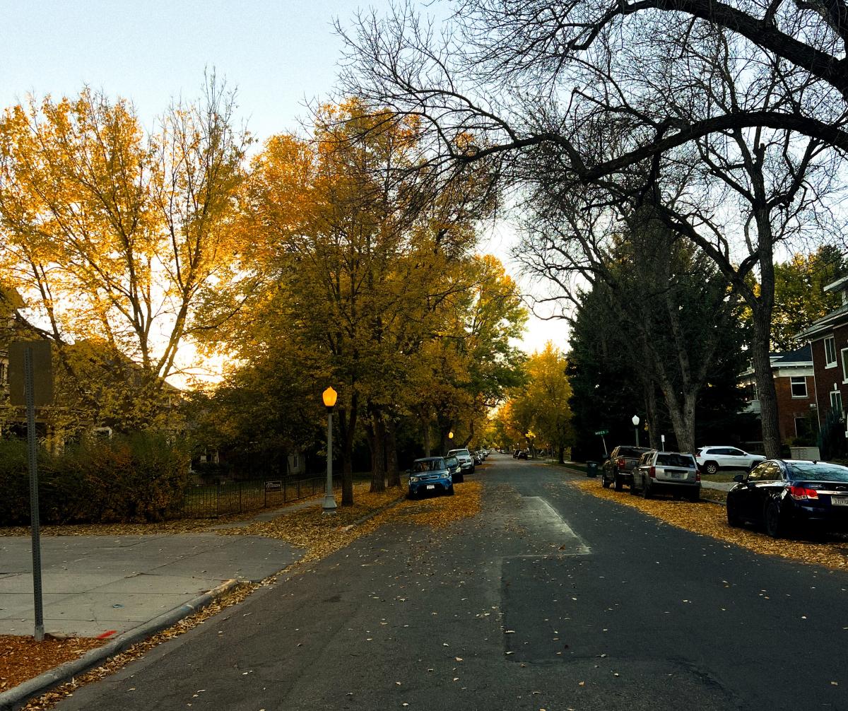 Fall Foliage Spots Billings Montana Historic Neighborhoods