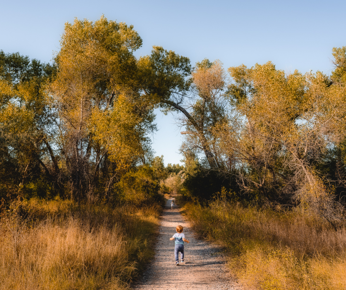 Fall Foliage Spots Billings Montana Riverfront Park