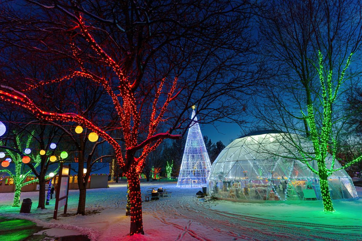 A festival weekend in Billings MT ZooMontana Night Lights