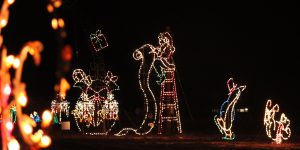 zoolights3