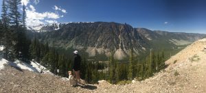 Beartooth Highway 