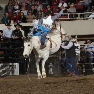 chase hawks rodeo