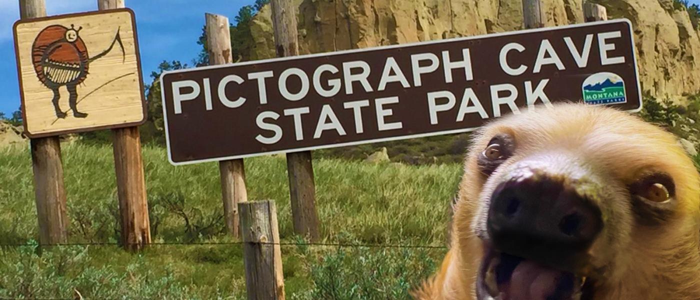 winston-the-sloth-image-state-park
