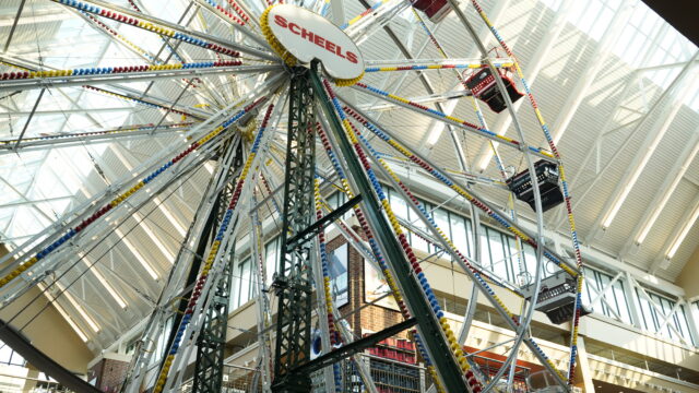 Scheels