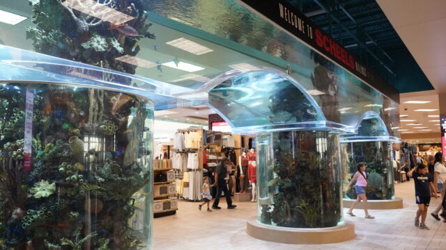 Scheels Billings MT