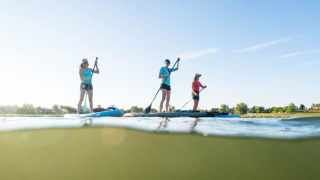 Lake Elmo Stand Up Paddleboarding