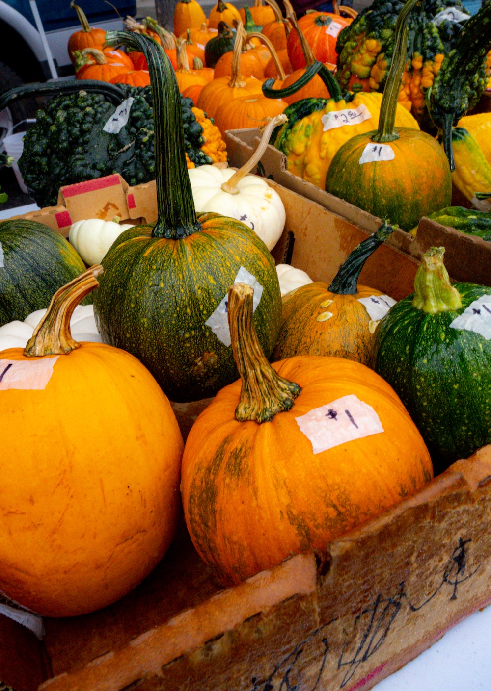 Farmers Market Pumpkins