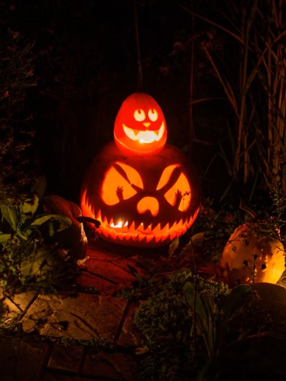 Haunted Happenings Pumpkin Lights