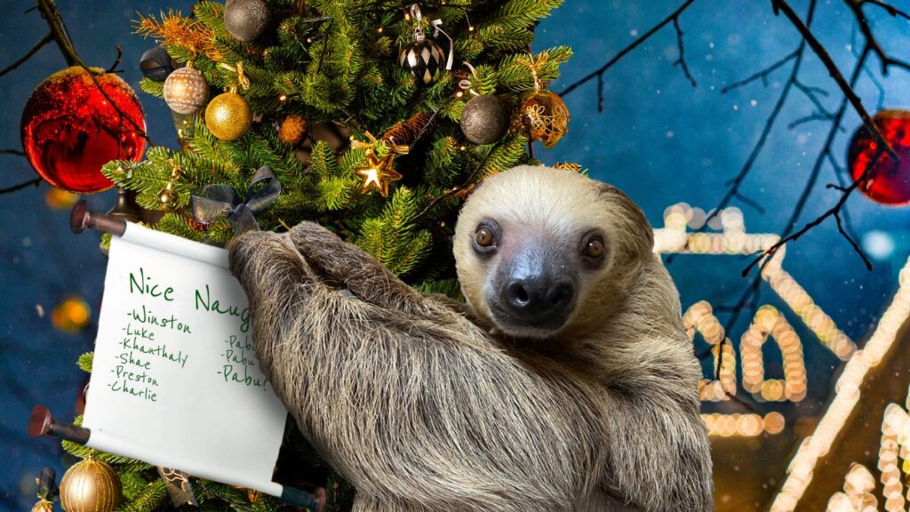 Naughty & Nice Winston List