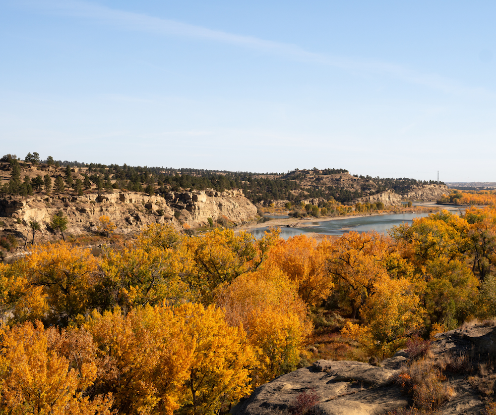 Pompeys Pillar Foilage Billings MT