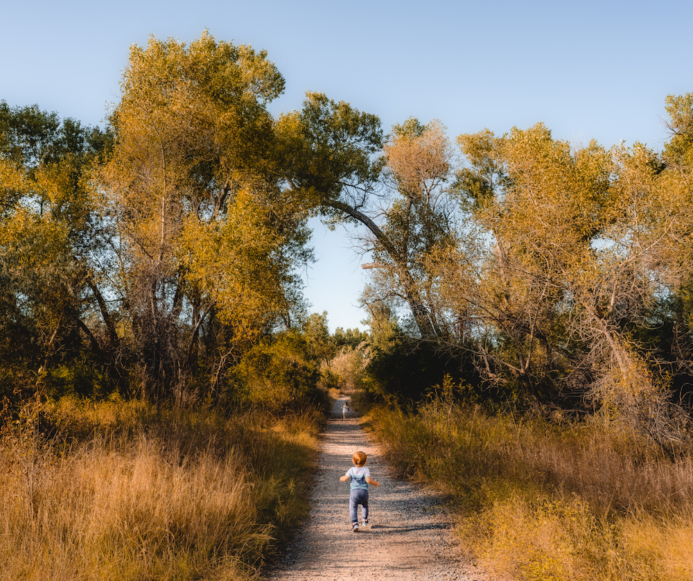 Riverfront Park Billings MT