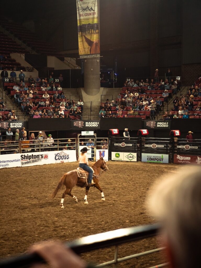 Nile Stock Show Rodeo