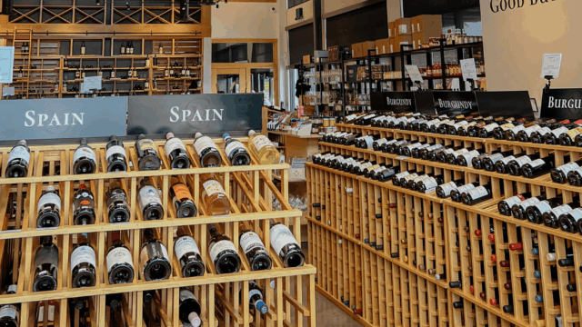 Untitled design (18)