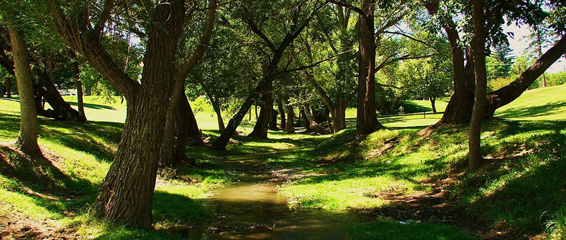 VISIT_BILLINGS_DAY1_0385 11