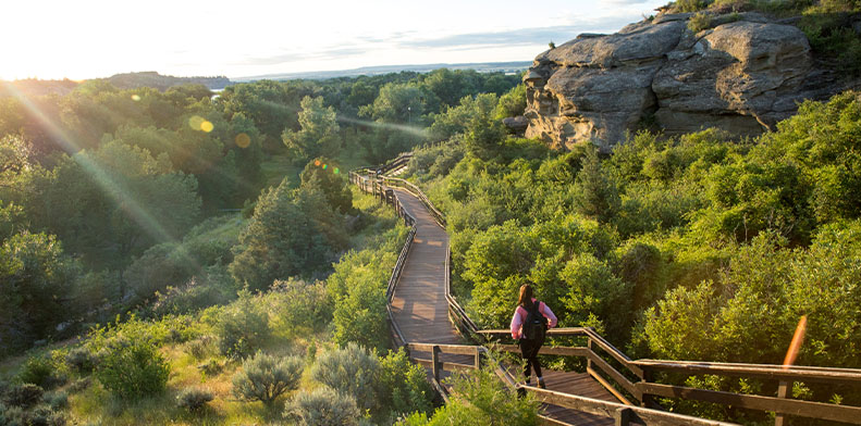 Pompeys Pillar boardwalk
