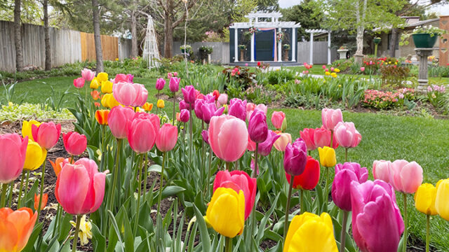 DanWalt Gardens