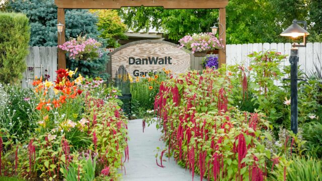 DanWalt Gardens Summer Spring