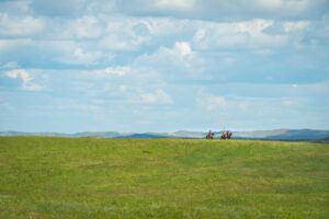 Trail to the Little Big Horn