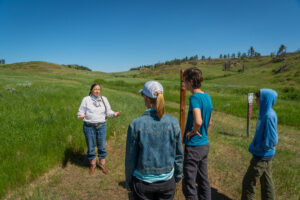 Trail to the Little Big Horn