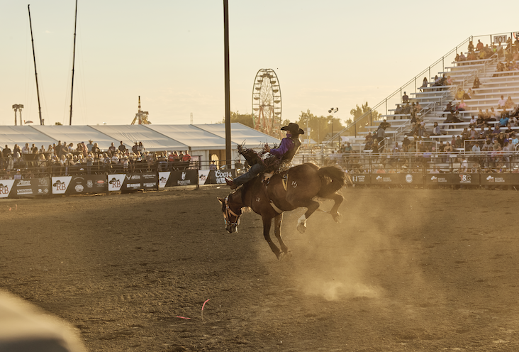 Video and high-resolution professional photography
