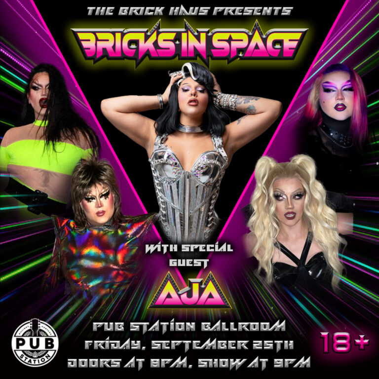 BRICK HAUS & AJA: Bricks in Space