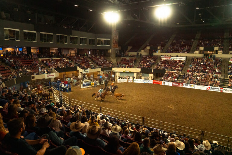 NILE Stock Show & Rodeo